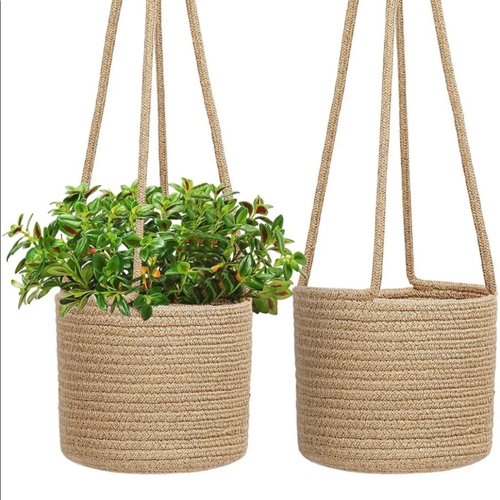 Hanging baskets